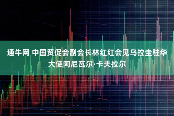 通牛网 中国贸促会副会长林红红会见乌拉圭驻华大使阿尼瓦尔·卡夫拉尔