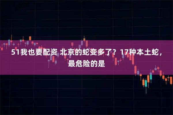 51我也要配资 北京的蛇变多了？17种本土蛇，最危险的是