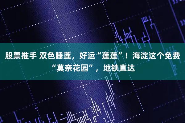 股票推手 双色睡莲，好运“莲莲”！海淀这个免费“莫奈花园”，地铁直达