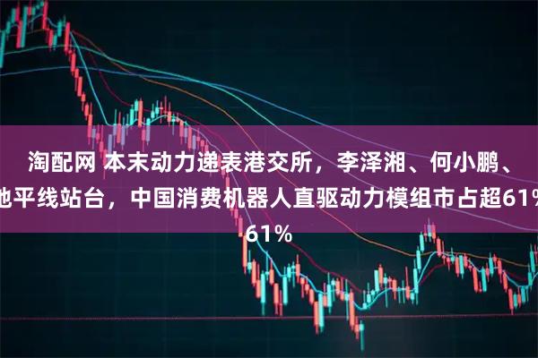 淘配网 本末动力递表港交所，李泽湘、何小鹏、地平线站台，中国消费机器人直驱动力模组市占超61%